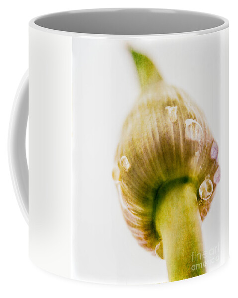 Fresh Coffee Mug featuring the photograph Botanicals Buds by Lenny Carter