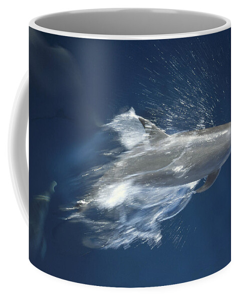 Feb0514 Coffee Mug featuring the photograph Bottlenose Dolphin Leaping Playfully by Tui De Roy