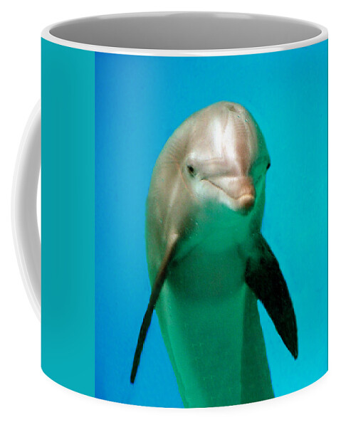 Wildlife Coffee Mug featuring the photograph Bottlenose Dolphin Portrait by William Bitman