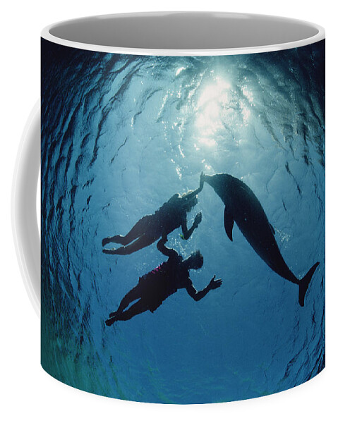 Feb0514 Coffee Mug featuring the photograph Bottlenose Dolphin With Swimmers Hawaii by Flip Nicklin
