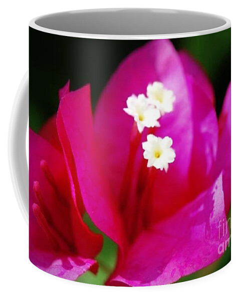 Bougainvillea Coffee Mug featuring the photograph Bougainvillea blossoms by Leanne Seymour