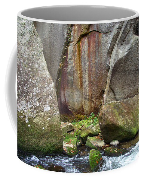 Rocks Coffee Mug featuring the photograph Boulders by the River by Duane McCullough