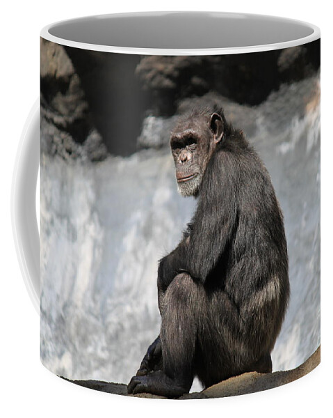 Gorilla Coffee Mug featuring the photograph Break Time by Bev Conover