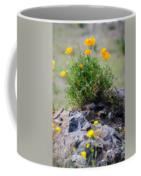 California Coffee Mug featuring the photograph Breaking Through The Rock by David Hart