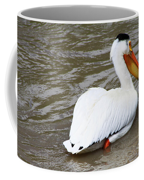 Bird Coffee Mug featuring the photograph Breeding Plumage by Alyce Taylor