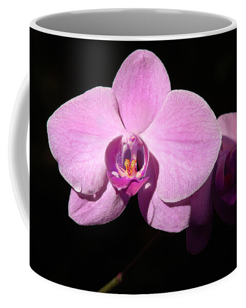 Penny Lisowski Coffee Mug featuring the photograph Bright Orchid by Penny Lisowski