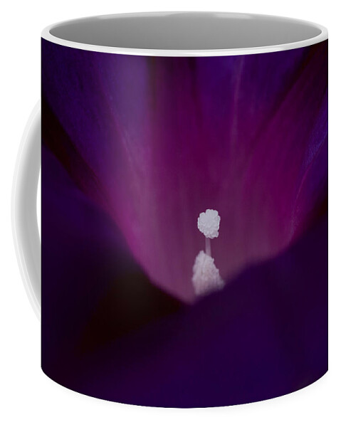 New England Flower Photograph Coffee Mug featuring the photograph Bright spot in purple by Jeff Folger