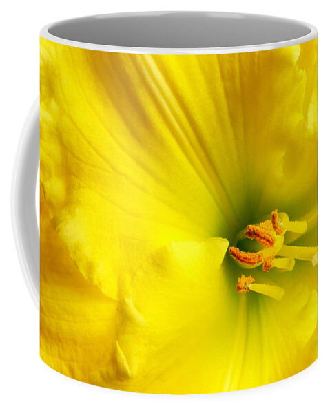 Lily Coffee Mug featuring the photograph Bright Yellow Lily by Jim Hughes