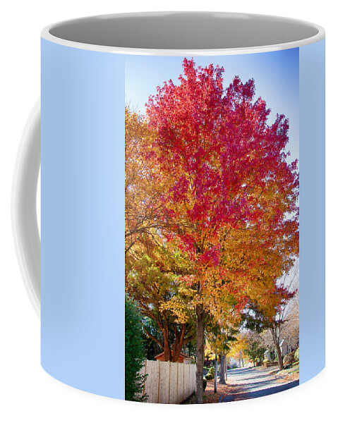 Marblehead Coffee Mug featuring the photograph brilliant autumn colors on a Marblehead street by Jeff Folger