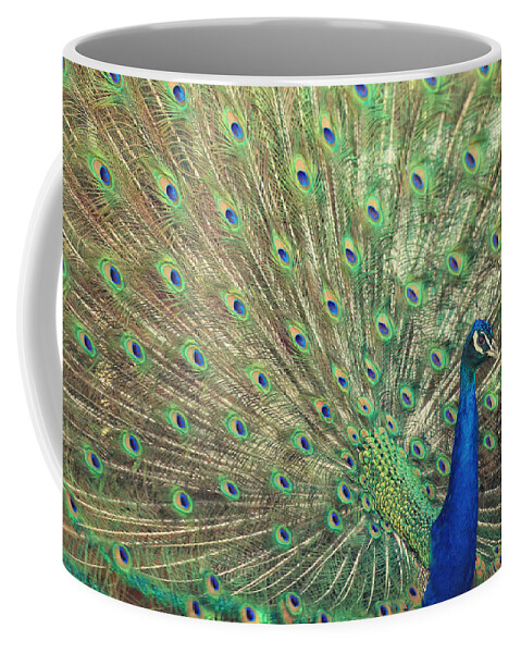 Green Coffee Mug featuring the photograph Brilliant Beautiful Backdrop by Carrie Ann Grippo-Pike