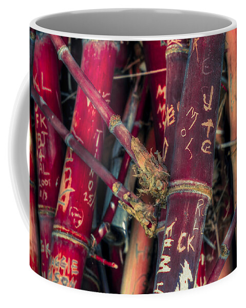 Bamboo Coffee Mug featuring the photograph Broken Promises by Wayne Sherriff