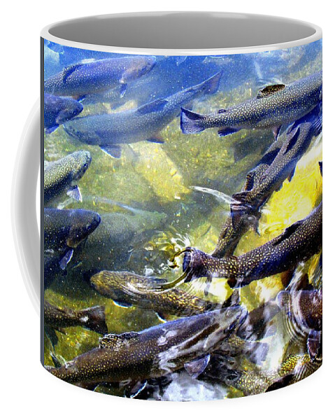 Brook Trout Coffee Mug featuring the photograph Brook Trout by Carol Montoya