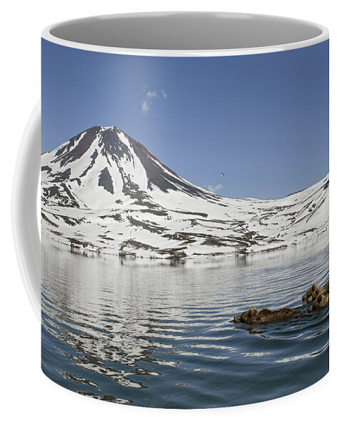 Feb0514 Coffee Mug featuring the photograph Brown Bear And Cubs Swimming Kamchatka by Sergey Gorshkov