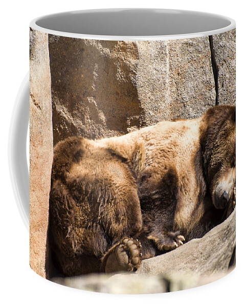 Brown Bear Coffee Mug featuring the photograph Brown bear asleep again by Flees Photos
