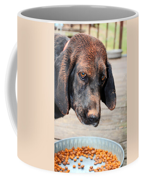 Hound Dog Coffee Mug featuring the photograph Brown Noser by Jennifer Robin