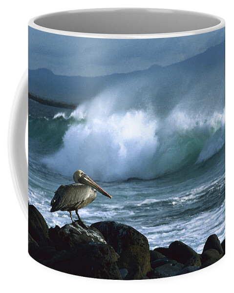 Feb0514 Coffee Mug featuring the photograph Brown Pelican And Waves Galapagos by Konrad Wothe