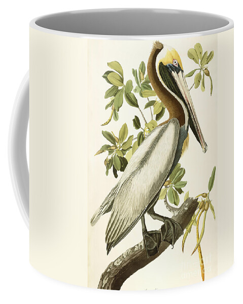 Pelican Ceramic Coffee Mug