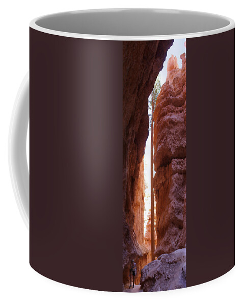 Bryce Canyon Coffee Mug featuring the photograph Bryce Canyon from the Bottom Panoramic by Mike McGlothlen