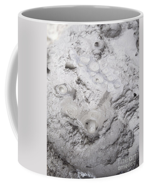 Science Coffee Mug featuring the photograph Bubbling Mud, Solfatara Crater, Italy by James Stevenson / Dorling Kindersley