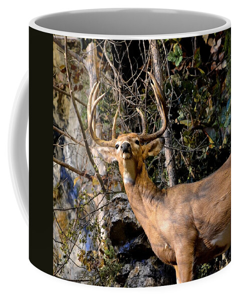 Deer Coffee Mug featuring the photograph Buck On A Ridge by Deena Stoddard