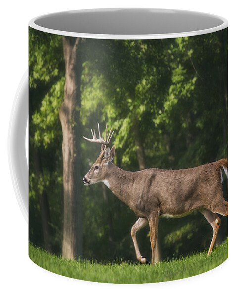 Buck Coffee Mug featuring the photograph Buck On Patrol by Bill and Linda Tiepelman