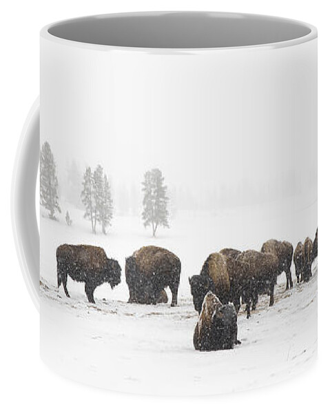 Yellowstone Coffee Mug featuring the photograph Buffalo Herd in Snow by Bill Cubitt