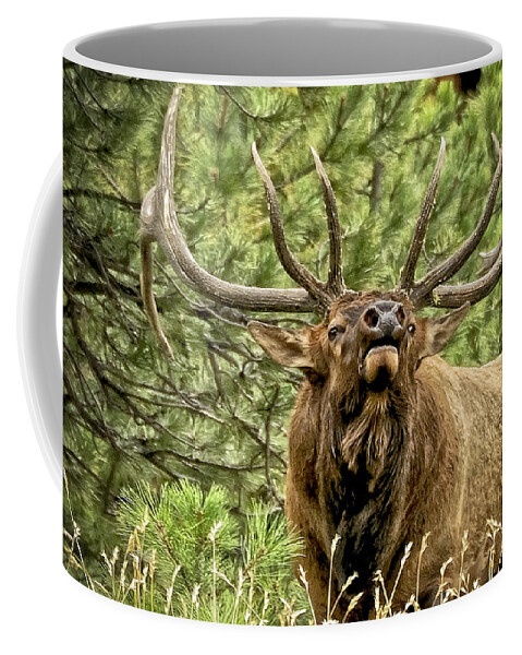 Bull Elk Coffee Mug featuring the photograph Bugling Bull Elk II by Ron White