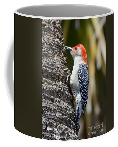 Woodpecker Coffee Mug featuring the photograph Building A Home by Kathy Baccari