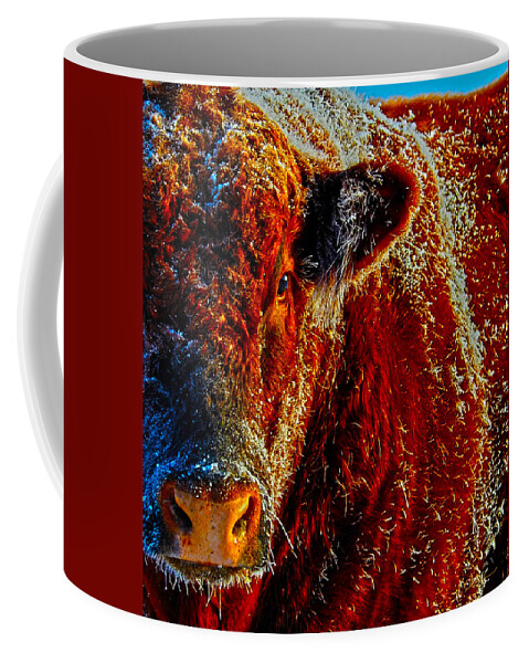 Hdr Coffee Mug featuring the photograph Bull on Ice by Amanda Smith