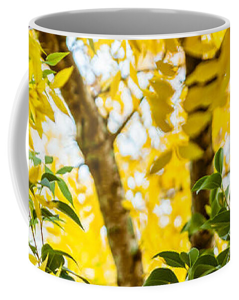 2014 Coffee Mug featuring the photograph Bunch of Green by Melinda Ledsome