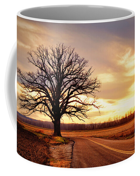 Old Coffee Mug featuring the photograph Burr Oak Silhouette by Cricket Hackmann