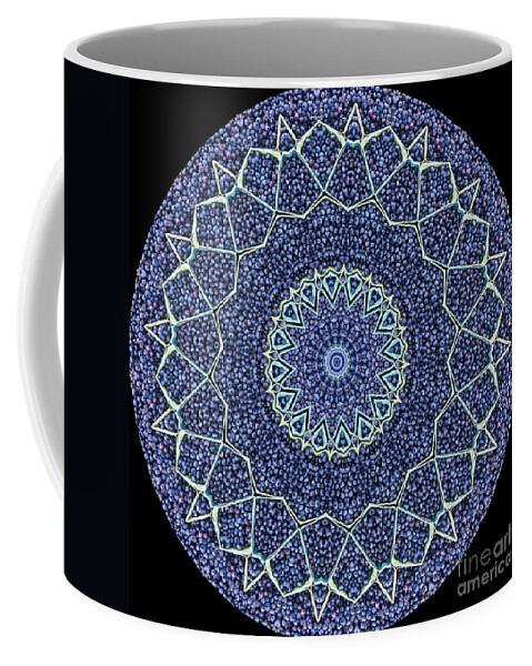 Burst Of Blueberries Coffee Mug featuring the photograph Burst of Blueberries by Patty Colabuono