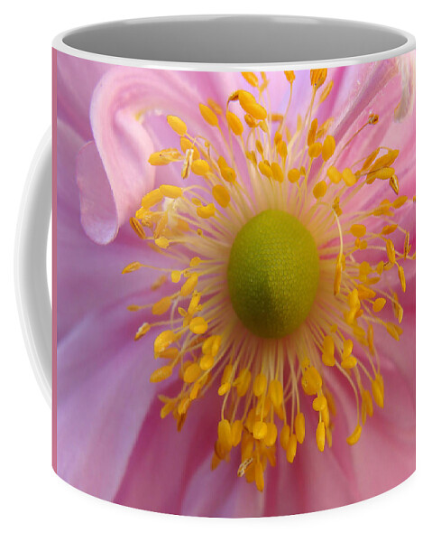 Anemone Coffee Mug featuring the photograph Windflower by Cheryl Hoyle