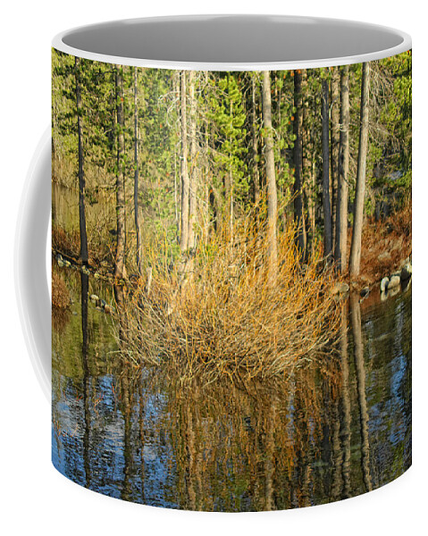 Water Coffee Mug featuring the photograph Bushed by Donna Blackhall