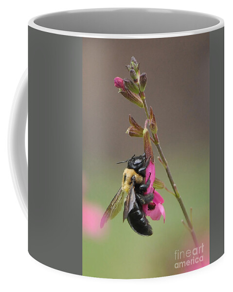 Bee Coffee Mug featuring the photograph Busy As A Bee by Kathy Baccari