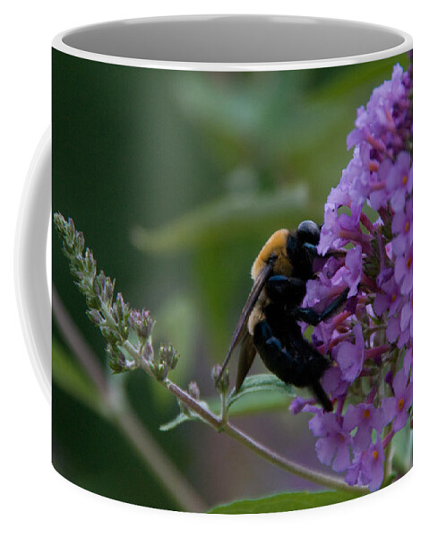 Nature Coffee Mug featuring the photograph Busy Bee by Greg Graham