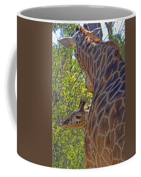 Giraffe Coffee Mug featuring the photograph But Mom I'm Bored by Gary Holmes