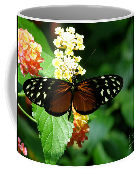 Butterfly Coffee Mug featuring the photograph Butterfly by Bev Conover