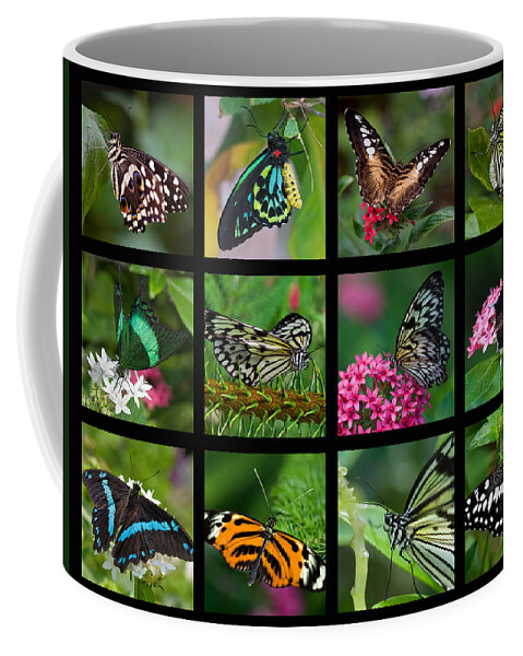 Butterfly Coffee Mug featuring the photograph Butterfly Collage by Joann Vitali