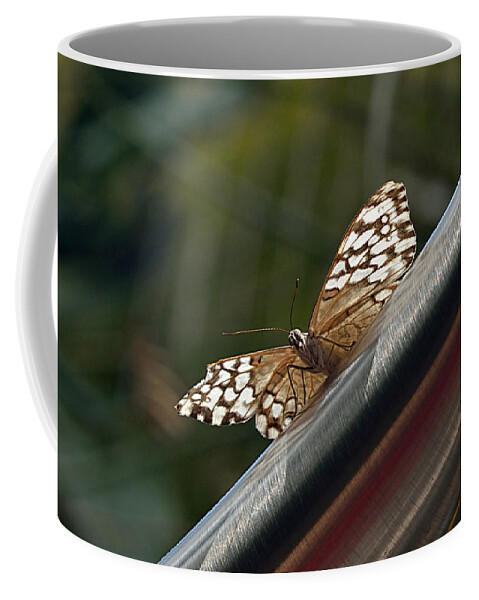 Butterfly Coffee Mug featuring the photograph Butterfly by Deborah Ritch