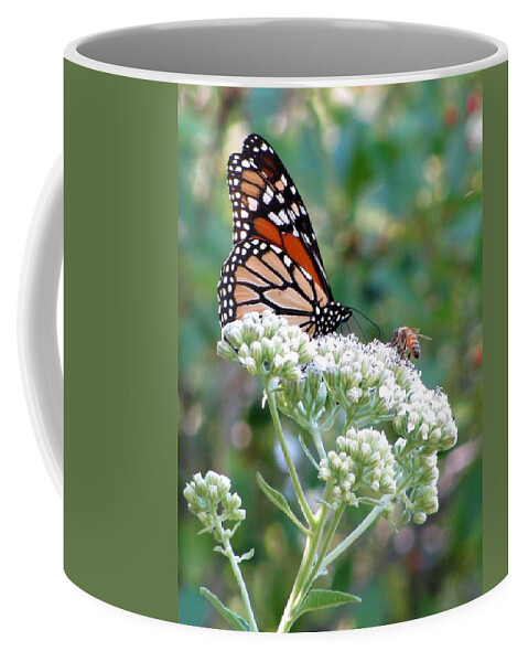 Butterfly Coffee Mug featuring the photograph Butterfly Garden - Monarchs 19 by Pamela Critchlow