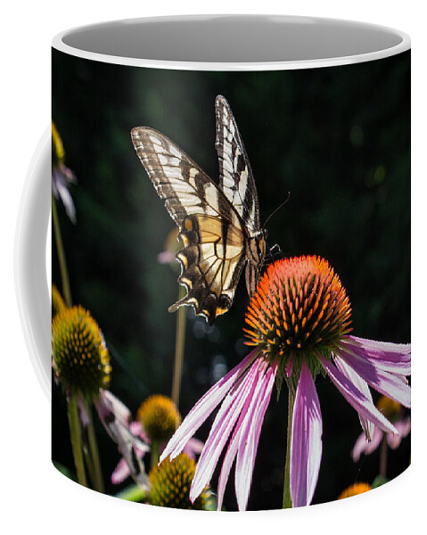 Butterfly Coffee Mug featuring the photograph Butterfly in the garden by Glenn DiPaola