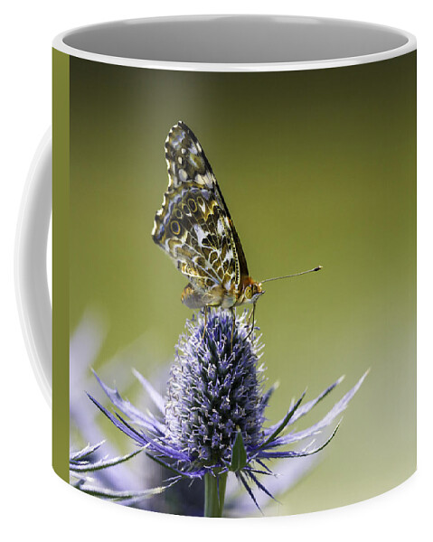Butterfly On Purple Thistle Coffee Mug featuring the photograph Butterfly on Thistle by Peter V Quenter