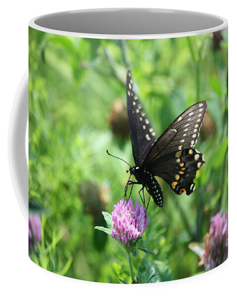 Butterfly Coffee Mug featuring the photograph Butterfly Two by Veronica Batterson