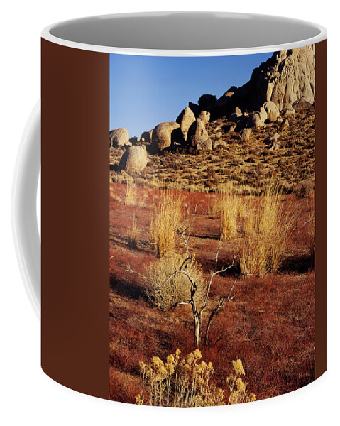 California Coffee Mug featuring the photograph Buttermilks - Red Brush by Tom Daniel