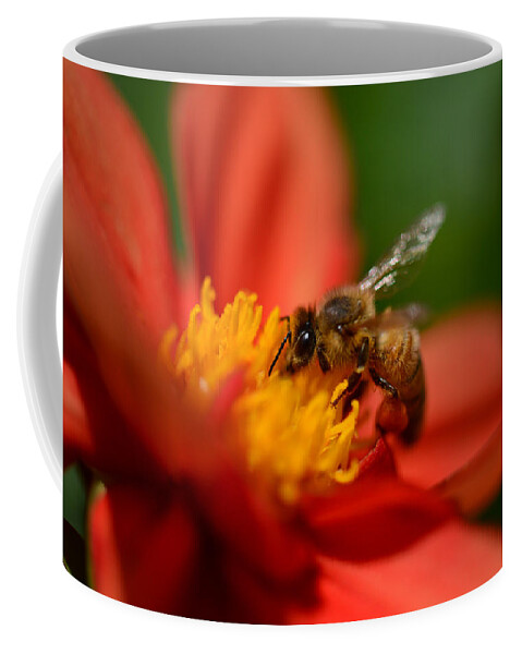 Bee Coffee Mug featuring the photograph Buzz Is The Word by Donna Blackhall