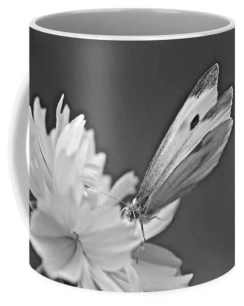 Butterfly Coffee Mug featuring the photograph Cabbage White Butterfly on Cosmos - Black and White by Carol Senske