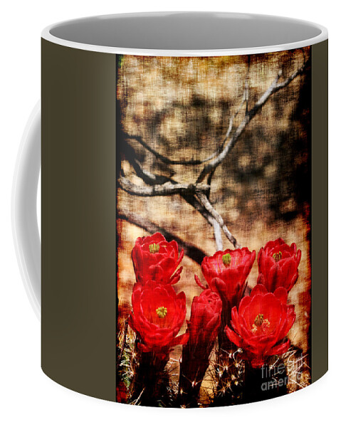 Cactus Coffee Mug featuring the photograph Cactus Flowers 2 by Julie Lueders 