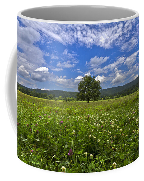 Cades Coffee Mug featuring the photograph Cades Cove in the Summer by Debra and Dave Vanderlaan