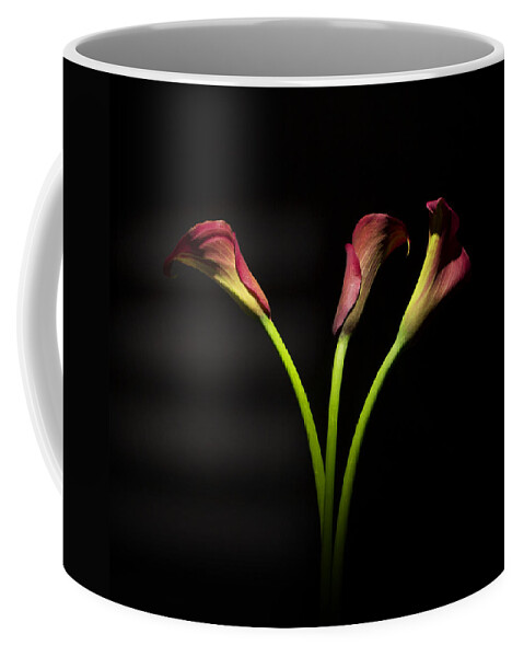 Cala Lily Coffee Mug featuring the photograph Cala Lily 4 by Mark Ashkenazi